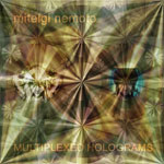 miteigi_nemoto_Multiplexed_holograms.jpg