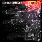 rise6.jpg